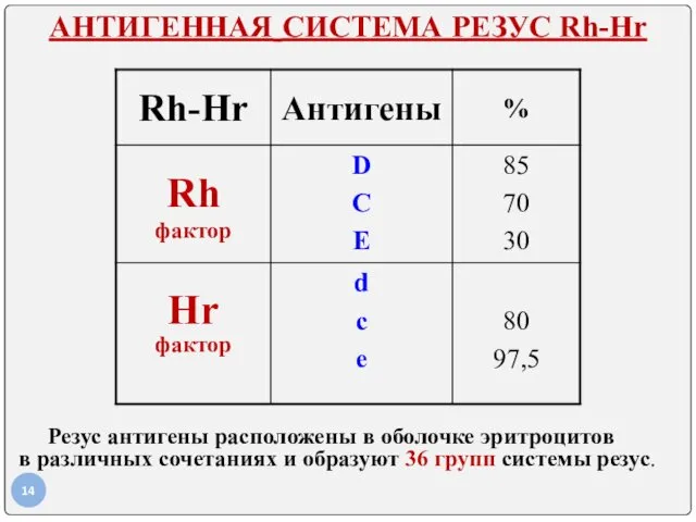 АНТИГЕННАЯ СИСТЕМА РЕЗУС Rh-Hr Резус антигены расположены в оболочке эритроцитов