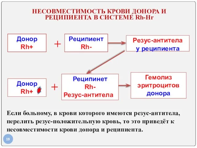 НЕСОВМЕСТИМОСТЬ КРОВИ ДОНОРА И РЕЦИПИЕНТА В СИСТЕМЕ Rh-Hr Донор Rh+