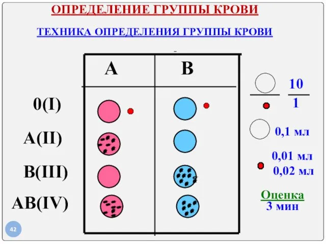 ОПРЕДЕЛЕНИЕ ГРУППЫ КРОВИ ТЕХНИКА ОПРЕДЕЛЕНИЯ ГРУППЫ КРОВИ А В 10