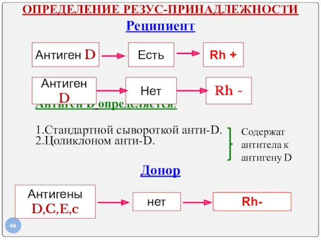 ОПРЕДЕЛЕНИЕ РЕЗУС-ПРИНАДЛЕЖНОСТИ Реципиент Антиген D Есть Rh + Антиген D