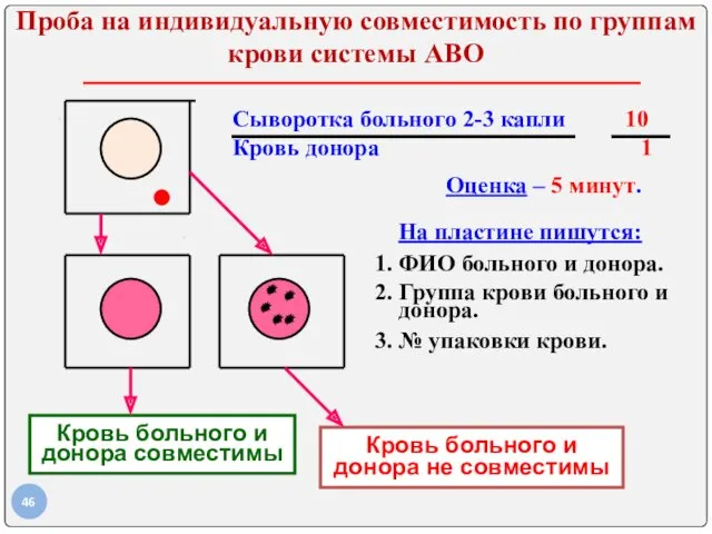 Проба на индивидуальную совместимость по группам крови системы АВО Сыворотка