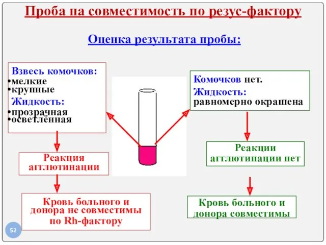 Проба на совместимость по резус-фактору Оценка результата пробы: Взвесь комочков: