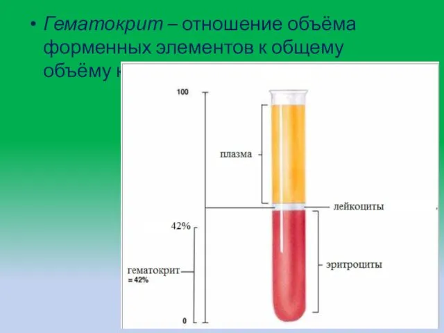 Гематокрит – отношение объёма форменных элементов к общему объёму крови