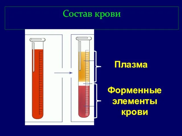 Состав крови Плазма Форменные элементы крови