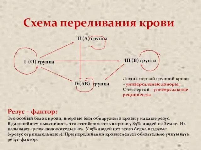 Схема переливания крови I (О) группа II (А) группа III