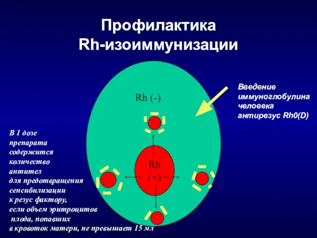 Профилактика Rh-изоиммунизации Rh (+) Rh (-) Введение иммуноглобулина человека антирезус