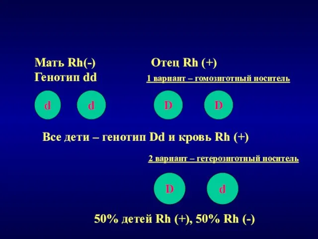 Мать Rh(-) Отец Rh (+) Генотип dd 1 вариант –