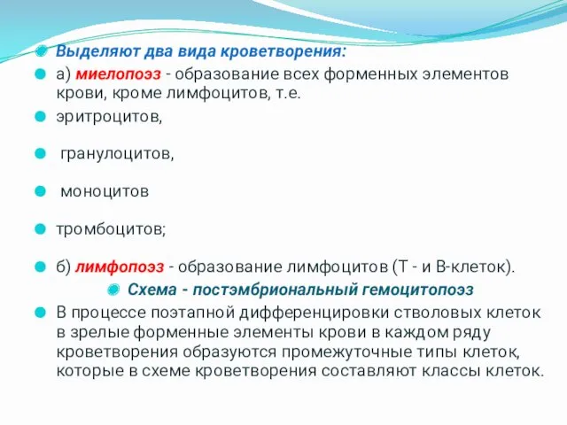 Выделяют два вида кроветворения: а) миелопоэз - образование всех форменных