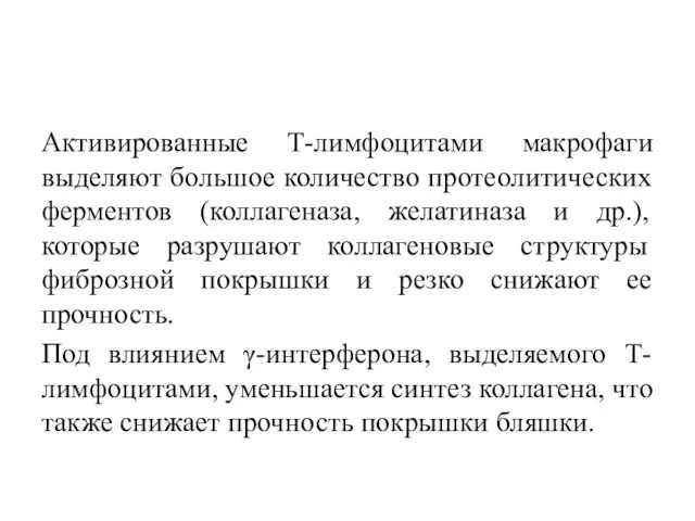 Активированные Т-лимфоцитами макрофаги выделяют большое количество протеолитических ферментов (коллагеназа, желатиназа