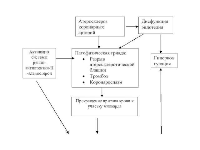 Активация системы ренин-ангиотензин-II-альдостерон Прекращение притока крови к участку миокарда