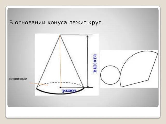 В основании конуса лежит круг. основание