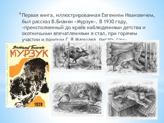 Первая книга, иллюстрированная Евгением Ивановичем, был рассказ В.Бианки «Мурзук». В