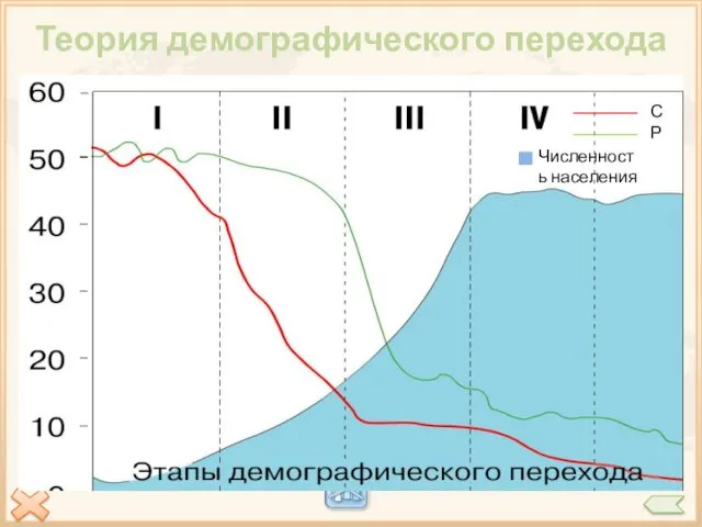 Высокая рождаемость Высокая смертность Низкий естественный прирост Племена собирателей и