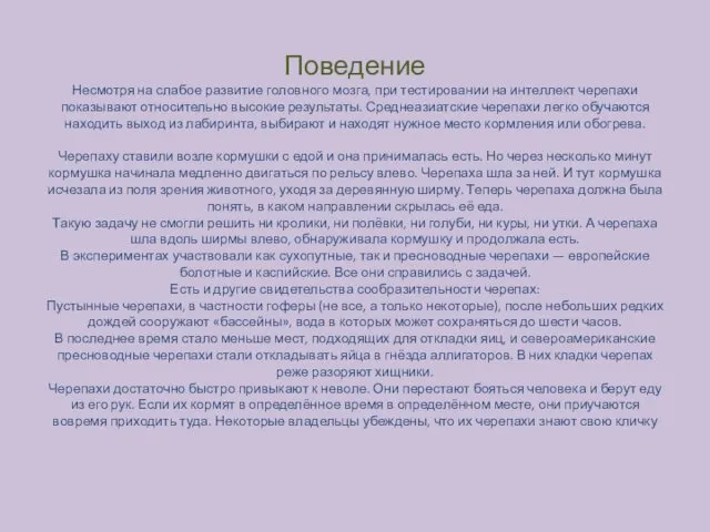 Поведение Несмотря на слабое развитие головного мозга, при тестировании на