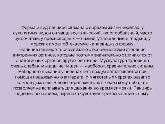 Форма и вид панциря связана с образом жизни черепах: у