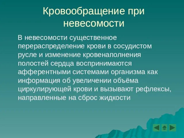 Кровообращение при невесомости В невесомости существенное перераспределение крови в сосудистом