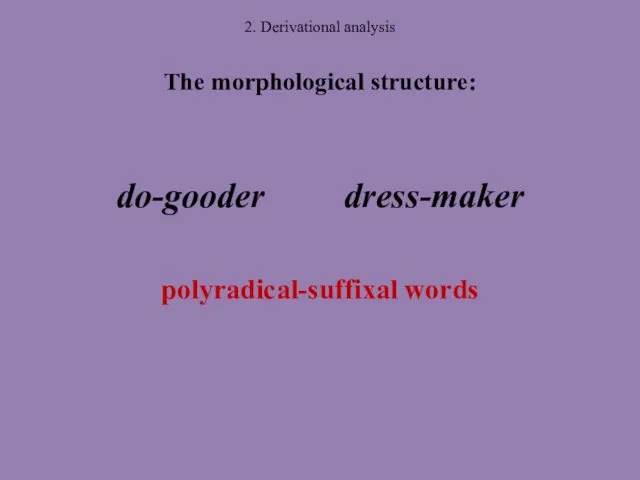 2. Derivational analysis The morphological structure: do-gooder dress-maker polyradical-suffixal words