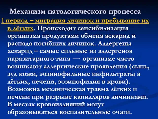 Механизм патологического процесса I период – миграция личинок и пребывание их в лёгких.