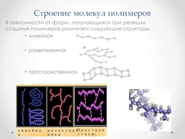 Строение молекул полимеров В зависимости от форм, получающихся при реакции