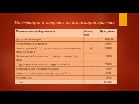 Инвестиции и затраты на реализацию проекта