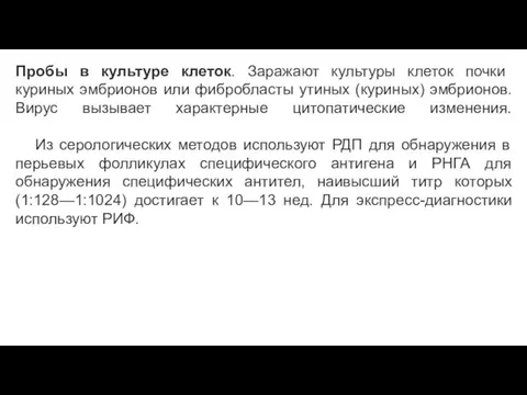 Пробы в культуре клеток. Заражают культуры клеток почки куриных эмбрионов