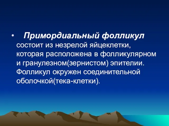 Примордиальный фолликул состоит из незрелой яйцеклетки, которая расположена в фолликулярном