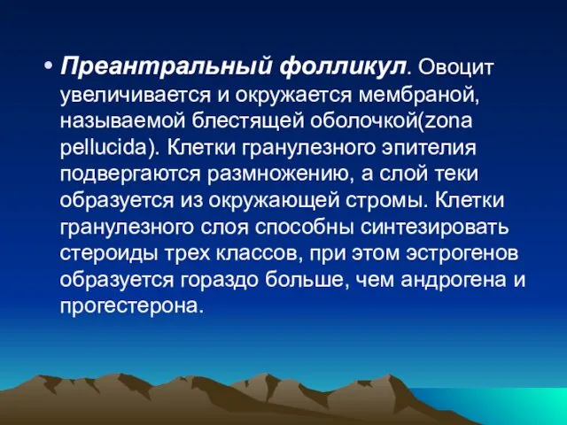 Преантральный фолликул. Овоцит увеличивается и окружается мембраной, называемой блестящей оболочкой(zona