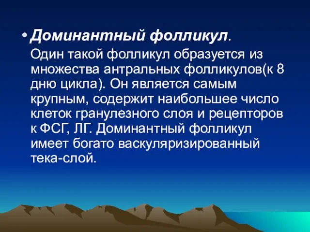 Доминантный фолликул. Один такой фолликул образуется из множества антральных фолликулов(к