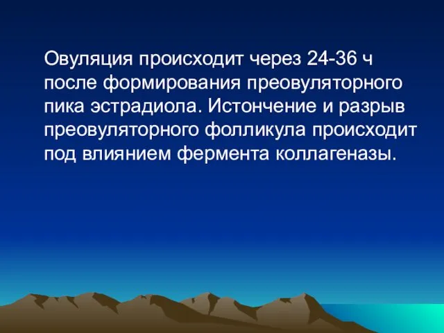 Овуляция происходит через 24-36 ч после формирования преовуляторного пика эстрадиола.