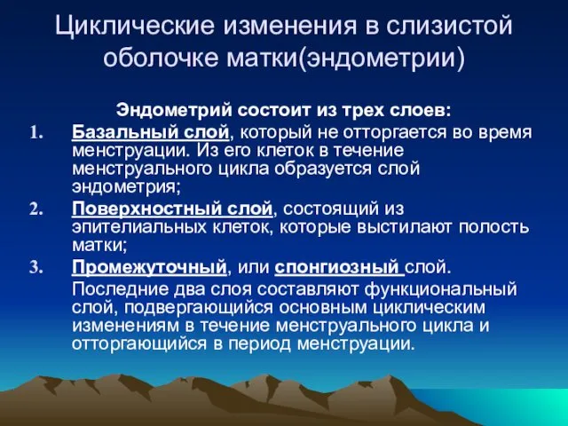 Эндометрий состоит из трех слоев: Базальный слой, который не отторгается