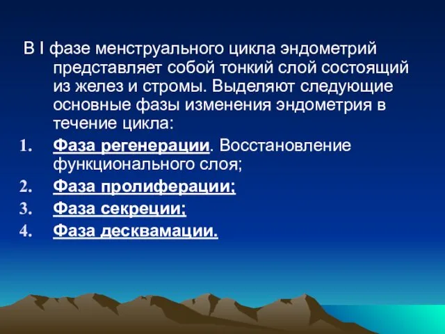 В I фазе менструального цикла эндометрий представляет собой тонкий слой