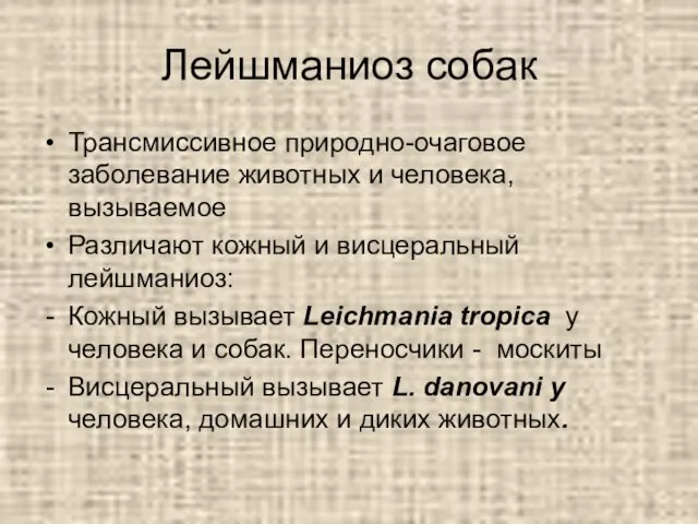 Лейшманиоз собак Трансмиссивное природно-очаговое заболевание животных и человека, вызываемое Различают