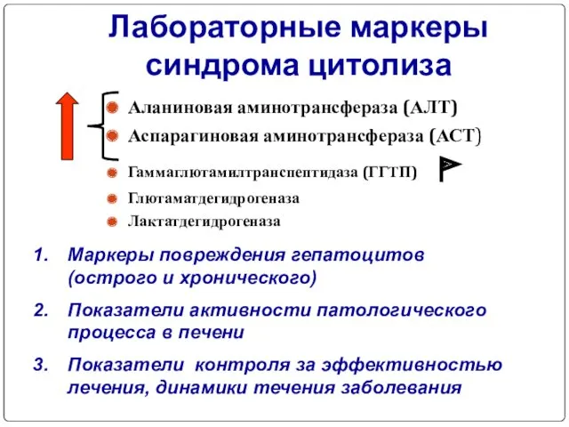 Лабораторные маркеры синдрома цитолиза Аланиновая аминотрансфераза (АЛТ) Аспарагиновая аминотрансфераза (АСТ)