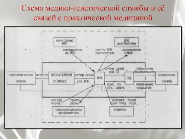 Схема медико-генетической службы и её связей с практической медициной