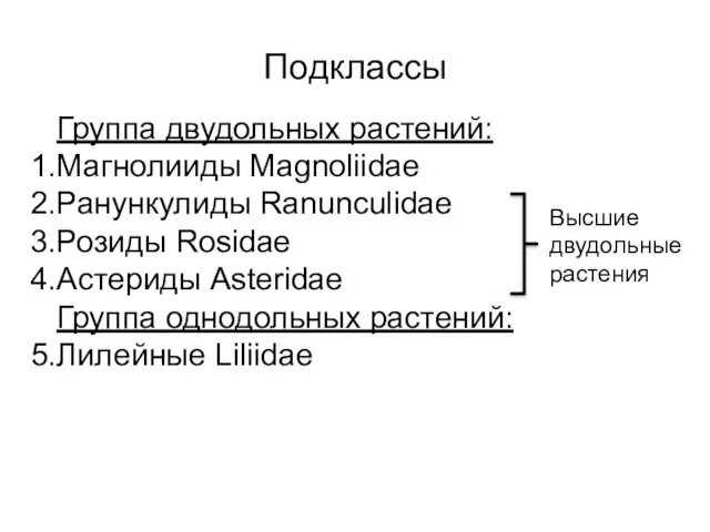 Подклассы Группа двудольных растений: Магнолииды Magnoliidae Ранункулиды Ranunculidae Розиды Rosidae