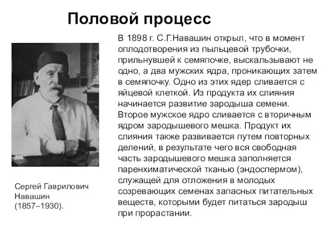 В 1898 г. С.Г.Навашин открыл, что в момент оплодотворения из