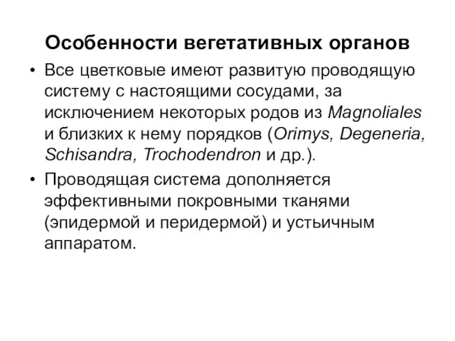 Особенности вегетативных органов Все цветковые имеют развитую проводящую систему с