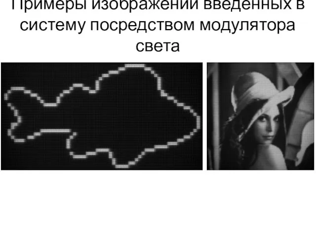 Примеры изображений введенных в систему посредством модулятора света