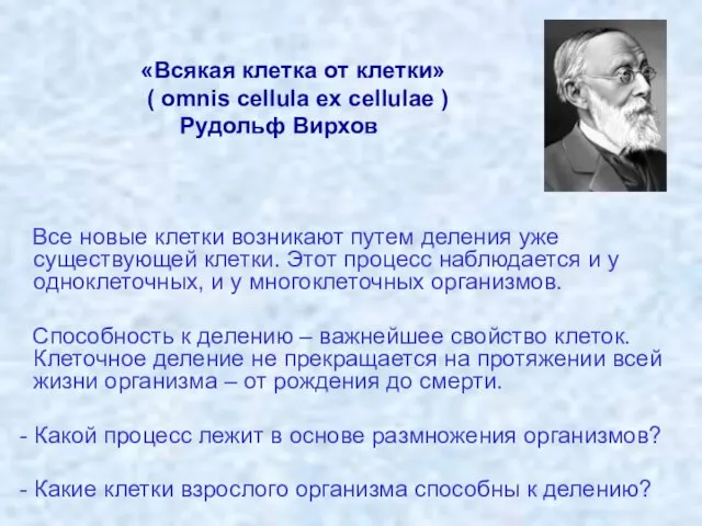 Все новые клетки возникают путем деления уже существующей клетки. Этот