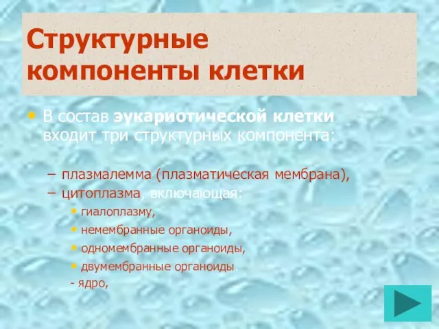 Структурные компоненты клетки В состав эукариотической клетки входит три структурных