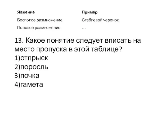 13. Какое понятие следует вписать на место пропуска в этой таблице? 1)отпрыск 2)поросль 3)почка 4)гамета