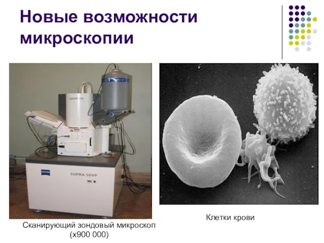 Новые возможности микроскопии Сканирующий зондовый микроскоп (х900 000) Клетки крови