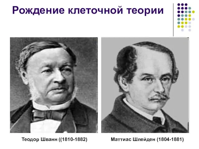 Рождение клеточной теории Теодор Шванн ((1810-1882) Маттиас Шлейден (1804-1881)