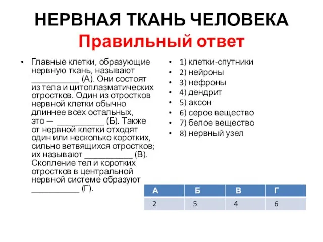 НЕРВНАЯ ТКАНЬ ЧЕЛОВЕКА Правильный ответ Главные клетки, образующие нервную ткань,