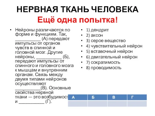 НЕРВНАЯ ТКАНЬ ЧЕЛОВЕКА Ещё одна попытка! Нейроны различаются по форме