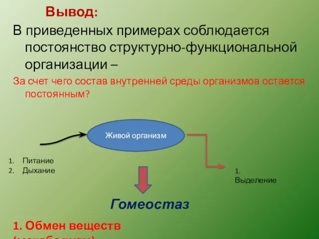 Вывод: В приведенных примерах соблюдается постоянство структурно-функциональной организации – За