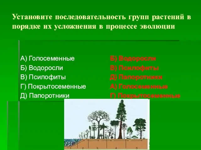 Установите последовательность групп растений в порядке их усложнения в процессе