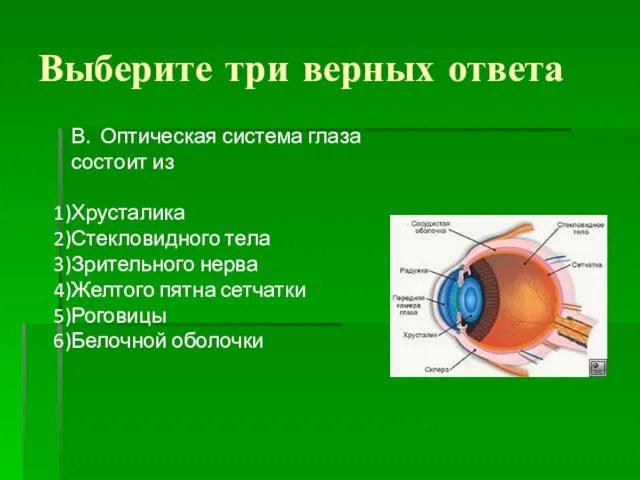 Выберите три верных ответа В. Оптическая система глаза состоит из