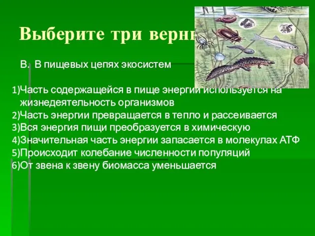 Выберите три верных ответа В. В пищевых цепях экосистем Часть