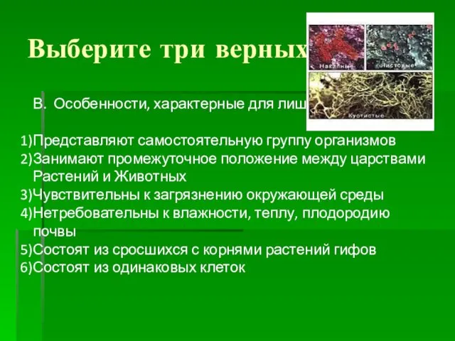 Выберите три верных ответа В. Особенности, характерные для лишайников Представляют